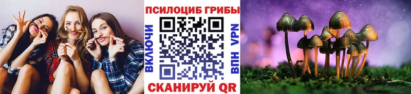 Купить где  Видное  Галлюциногенные грибы Magic Shrooms 